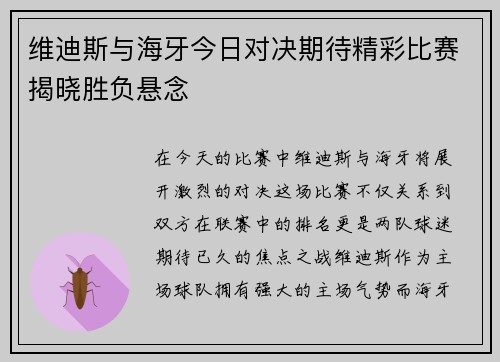 维迪斯与海牙今日对决期待精彩比赛揭晓胜负悬念